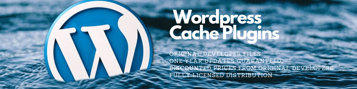 HEADER - wordpress cache plugins - intelprise