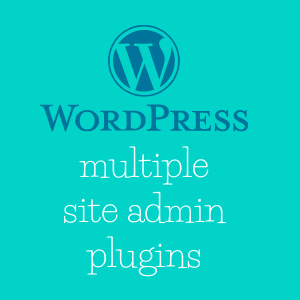 Wordpress Multisite Administrator Plugins