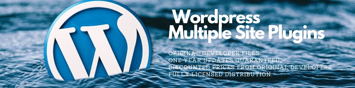 wordpress multiple site plugins - intelprise