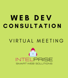 Web Development Consultation