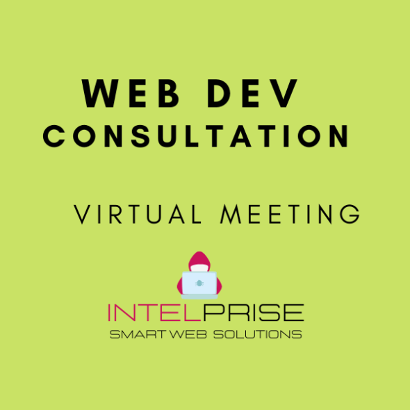 Web Development Consultation