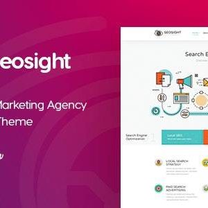 Seosight 4.9.3 SEO Agency Theme