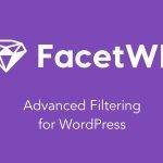 FacetWP v3.6.5 Advanced Filter for WordPress