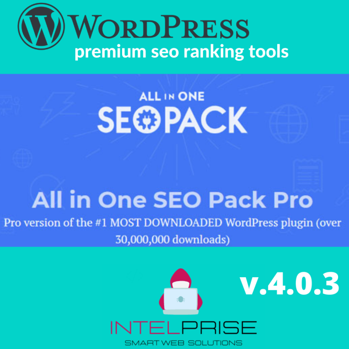 All in One SEO Pack Pro v4.0.3 WordPress SEO Plugin