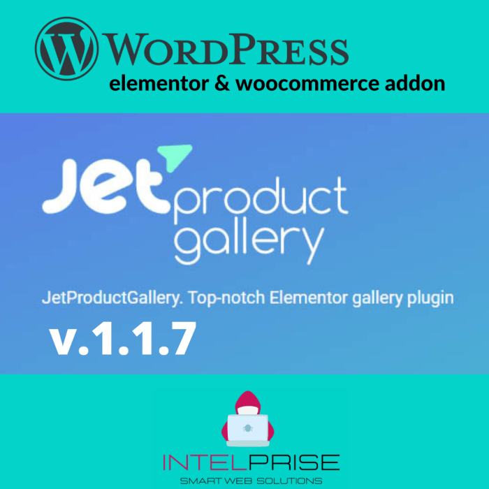 JetProductGallery v.1.1.7 Addon for Elementor