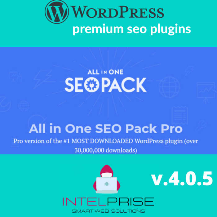 All in One SEO Pack Pro v.4.0.5 WordPress SEO Plugin