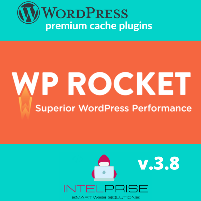 WP Rocket v.3.8 Top WordPress Caching Plugin
