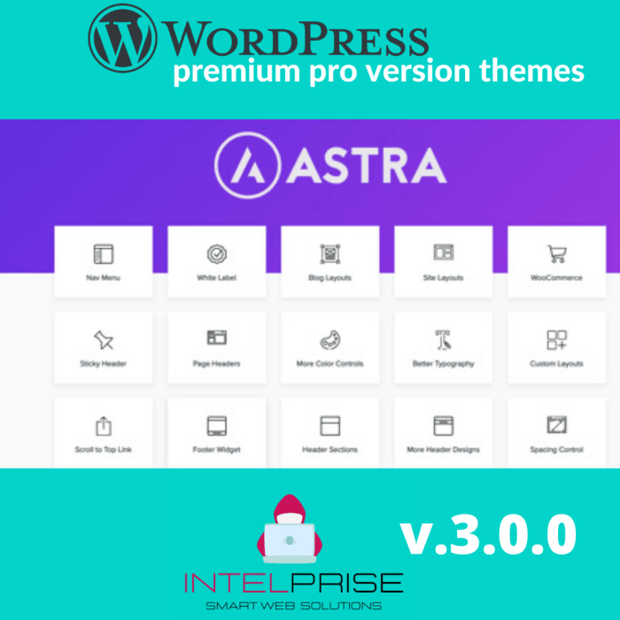 Astra Pro v.3.0.0 Full Suite with Portfolio and Premium Sites