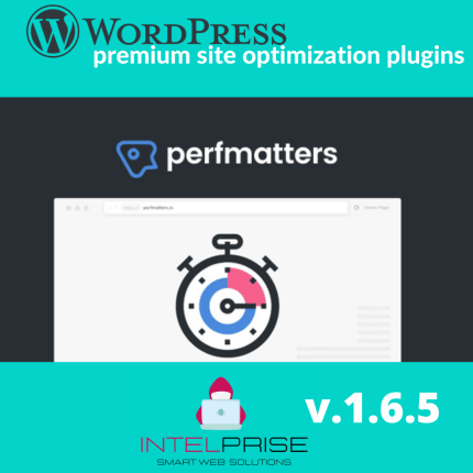 Perfmatters v1.6.5 Wordpress Accelerator