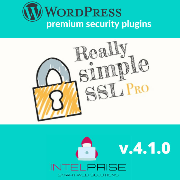 Really Simple SSL Pro v.4.1.0 WordPress SSL Certificate