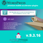 WP AMP v.9.3.16 Accelerated Mobile Pages for WordPress