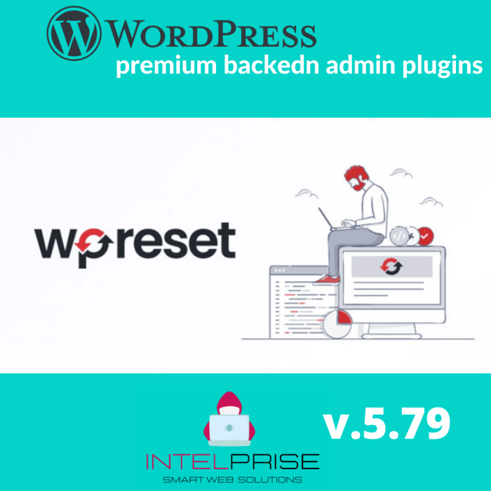 WP Reset Pro v.5.79 Agency Version