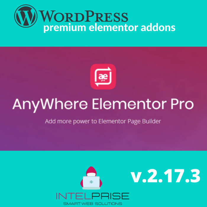 AnyWhere Elementor Pro v2.17.3