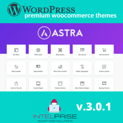 Astra Pro v.3.0.1 Full Suite with Portfolio and Premium Sites