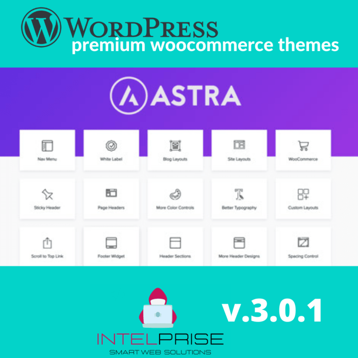 Astra Pro v.3.0.1 Full Suite with Portfolio and Premium Sites