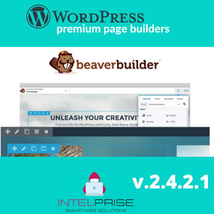 Beaver Builder Pro 2.4.2.1 WordPress Premium Page Builder