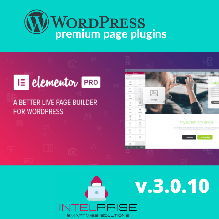 Elementor PRO v.3.0.10 WordPress Page Builder