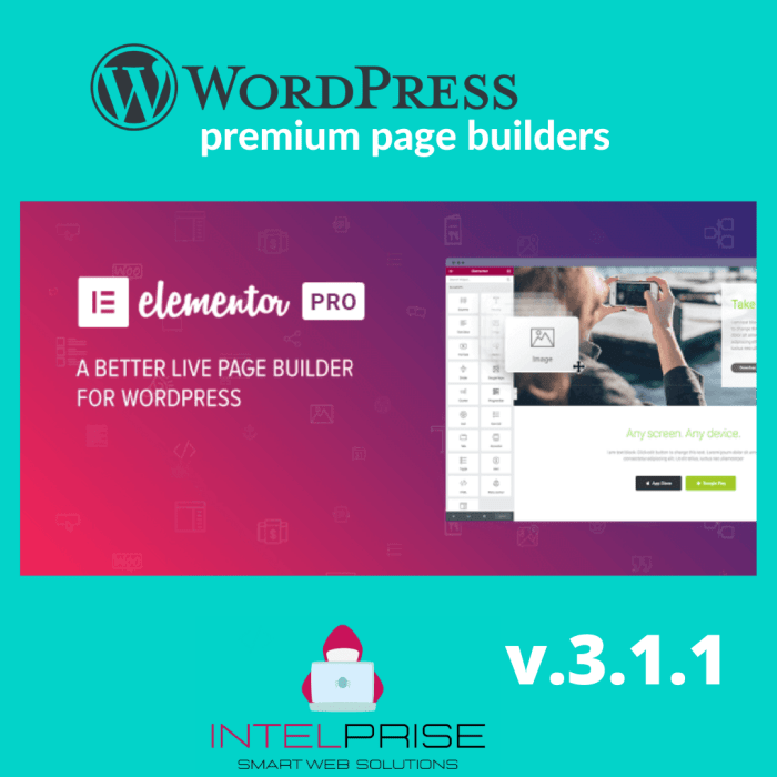 Elementor PRO v.3.1.1 WordPress Page Builder