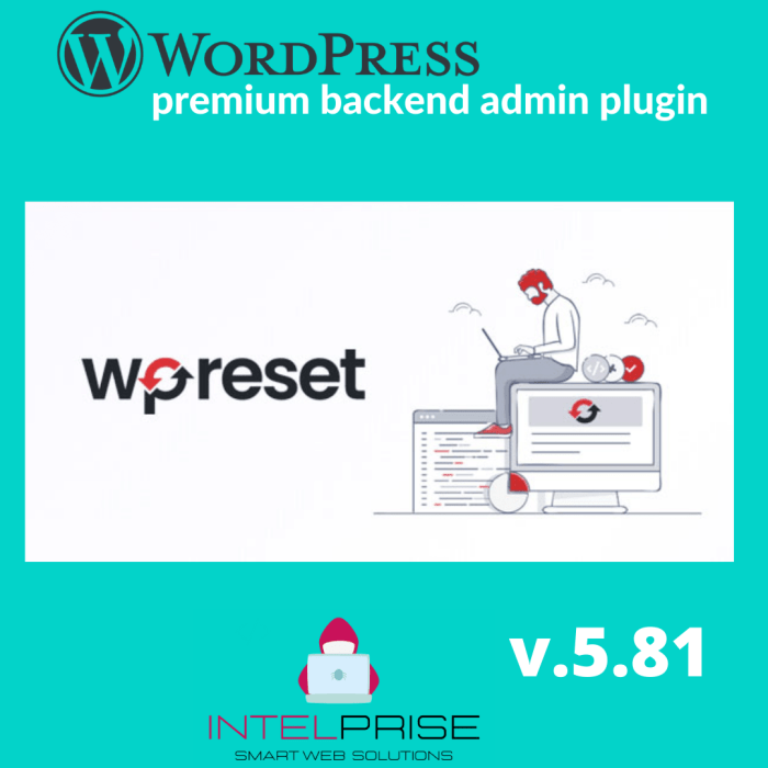 WP Reset Pro v.5.81 Agency Version