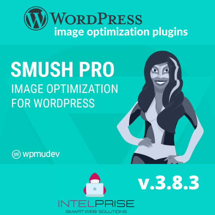 WP Smush Pro v3.8.3 WordPress Image Compression