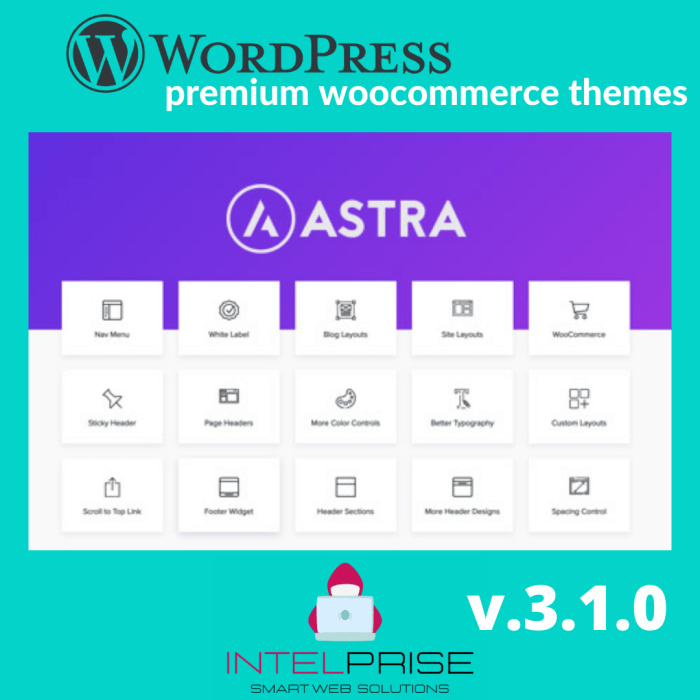 Astra Pro v.3.1.0 Full Suite with Portfolio and Premium Sites