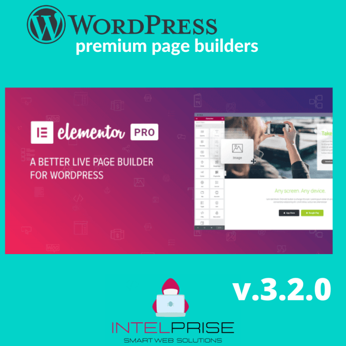 Elementor PRO v.3.2.0 WordPress Page Builder