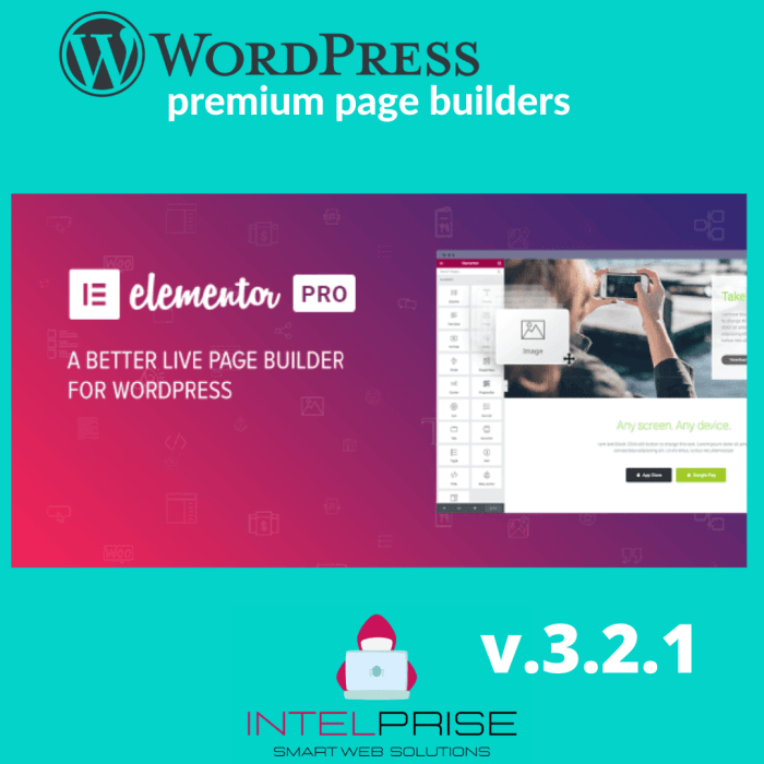 Elementor PRO v.3.2.1 WordPress Page Builder