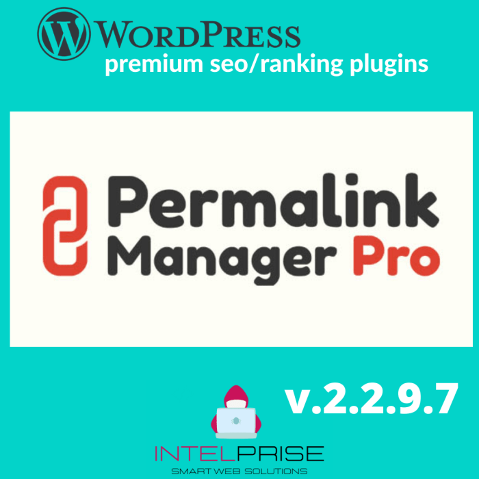 Permalink Manager Pro v2.2.9.7