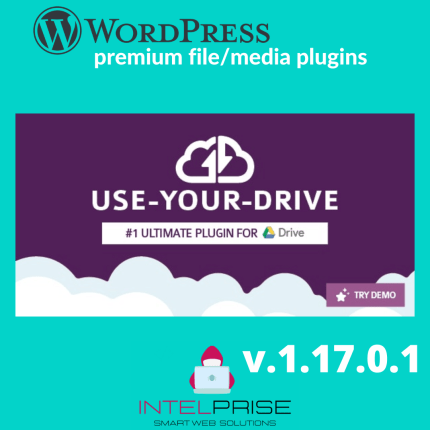 Use-your-Drive 1.17.0.1 Google Drive Plugin for WordPress