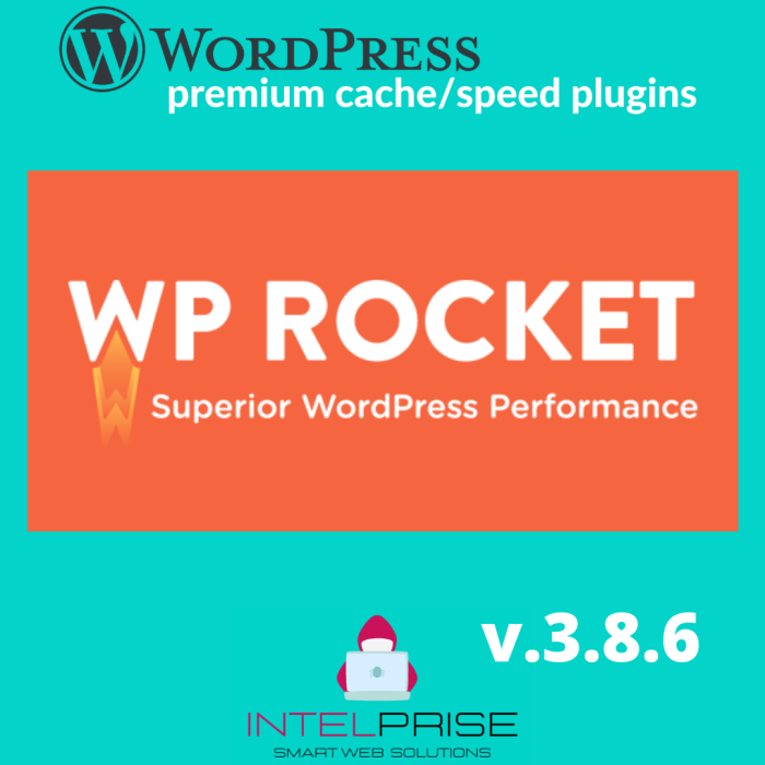 WP Rocket v.3.8.6 Top WordPress Caching Plugin