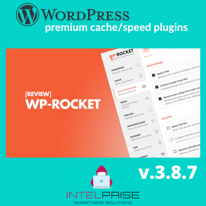 WP Rocket v.3.8.7 Top WordPress Caching Plugin