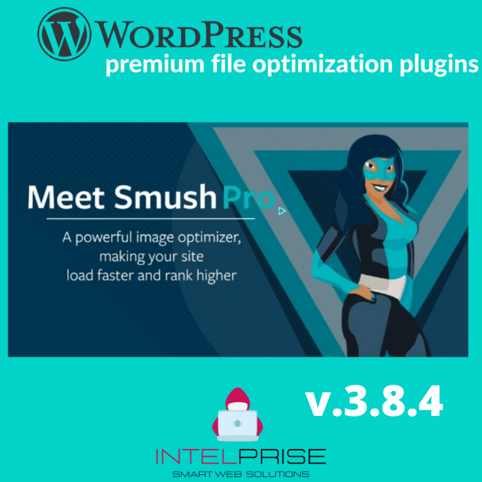 WP Smush Pro v3.8.4 WordPress Image Compression