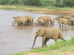 Watering Hole E1585688492540 Ywdmy4