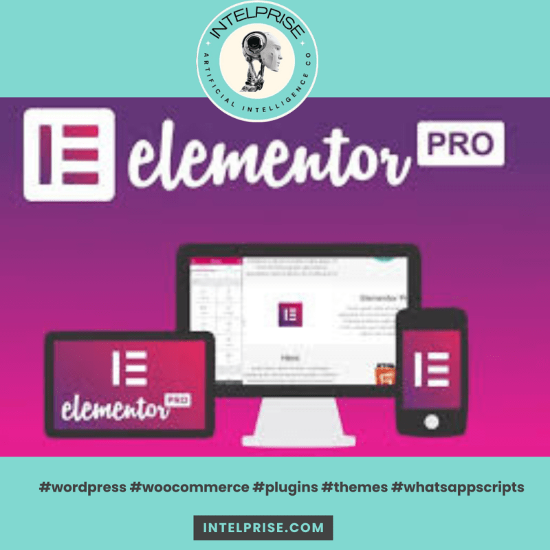 Elementor PRO canva