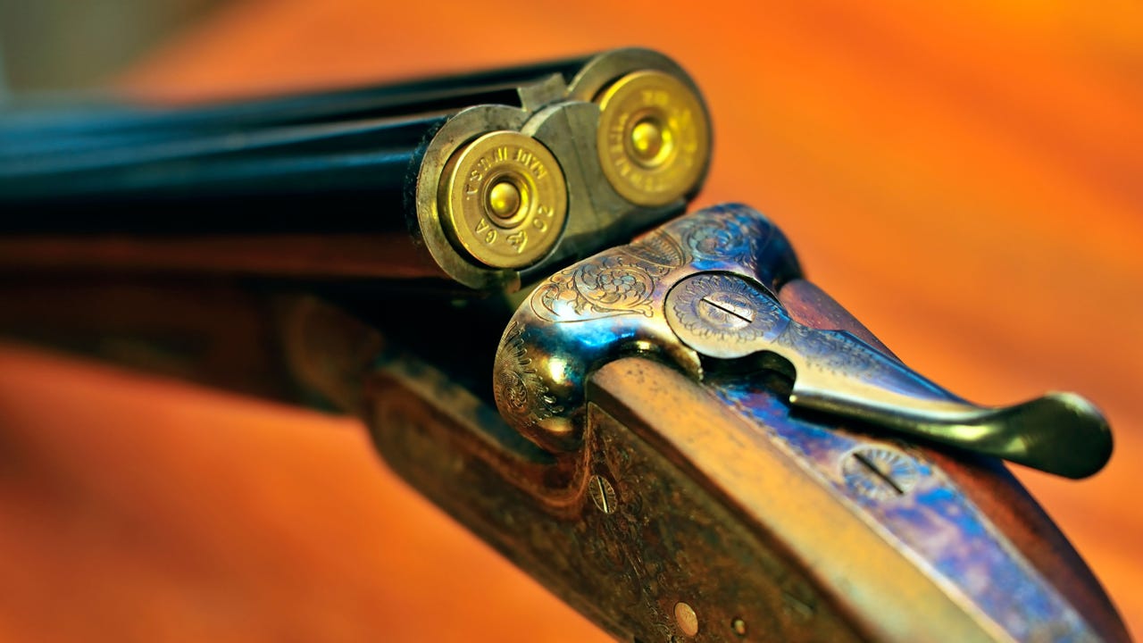 Shotgun Norimages Alamy D0C1Bb