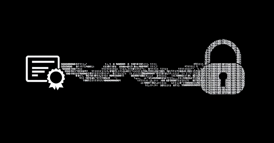 Ransomware Certificate S6Qeyd