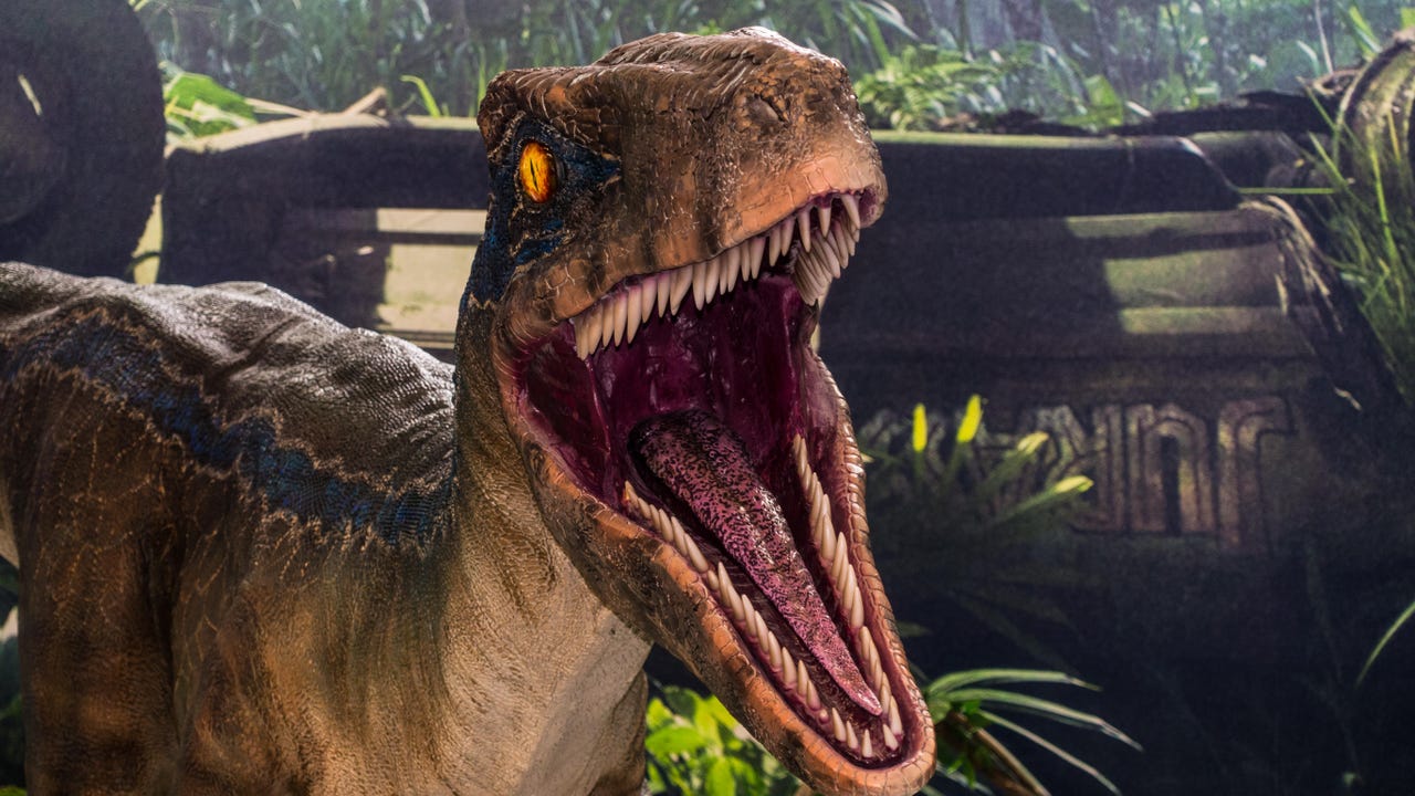Velociraptor Raymondasiaphotography Alamy 7Bkrpr