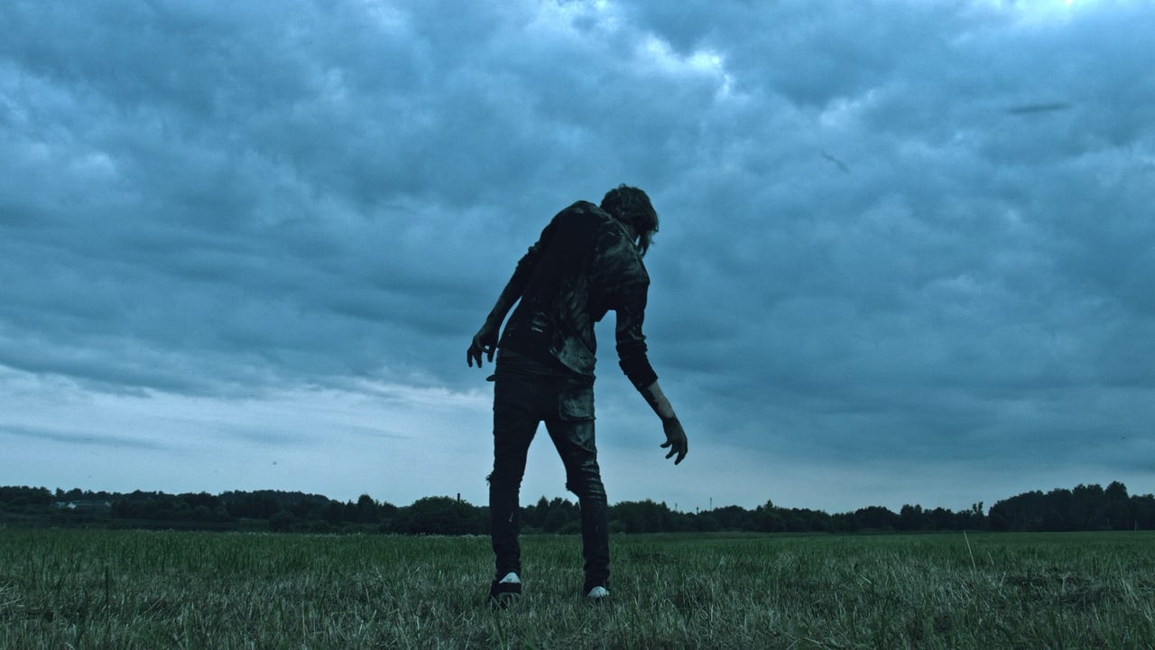Zombie In A Field Sergey Shubin Shutterstock Afmfia