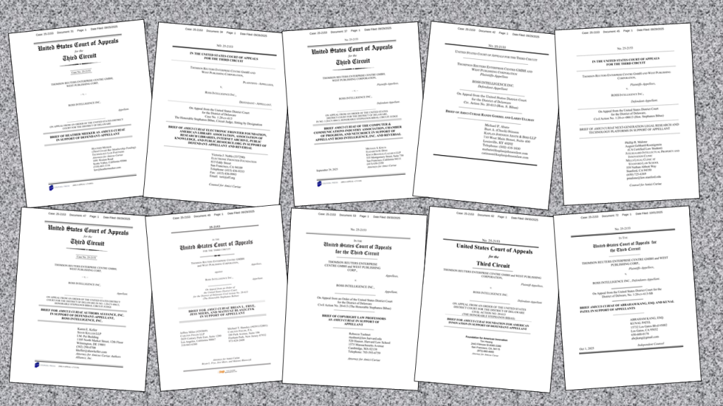 Amicus Briefs Collage 1024X576 Rjj6Yy