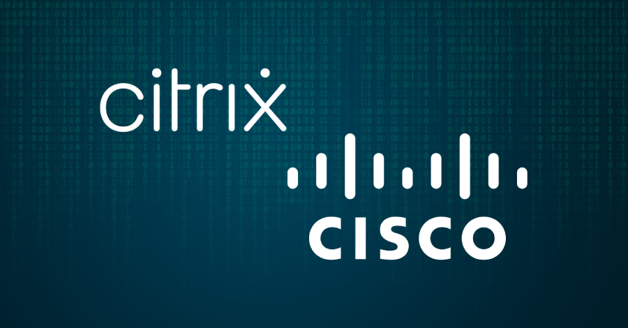 Cisco Haf3Ly