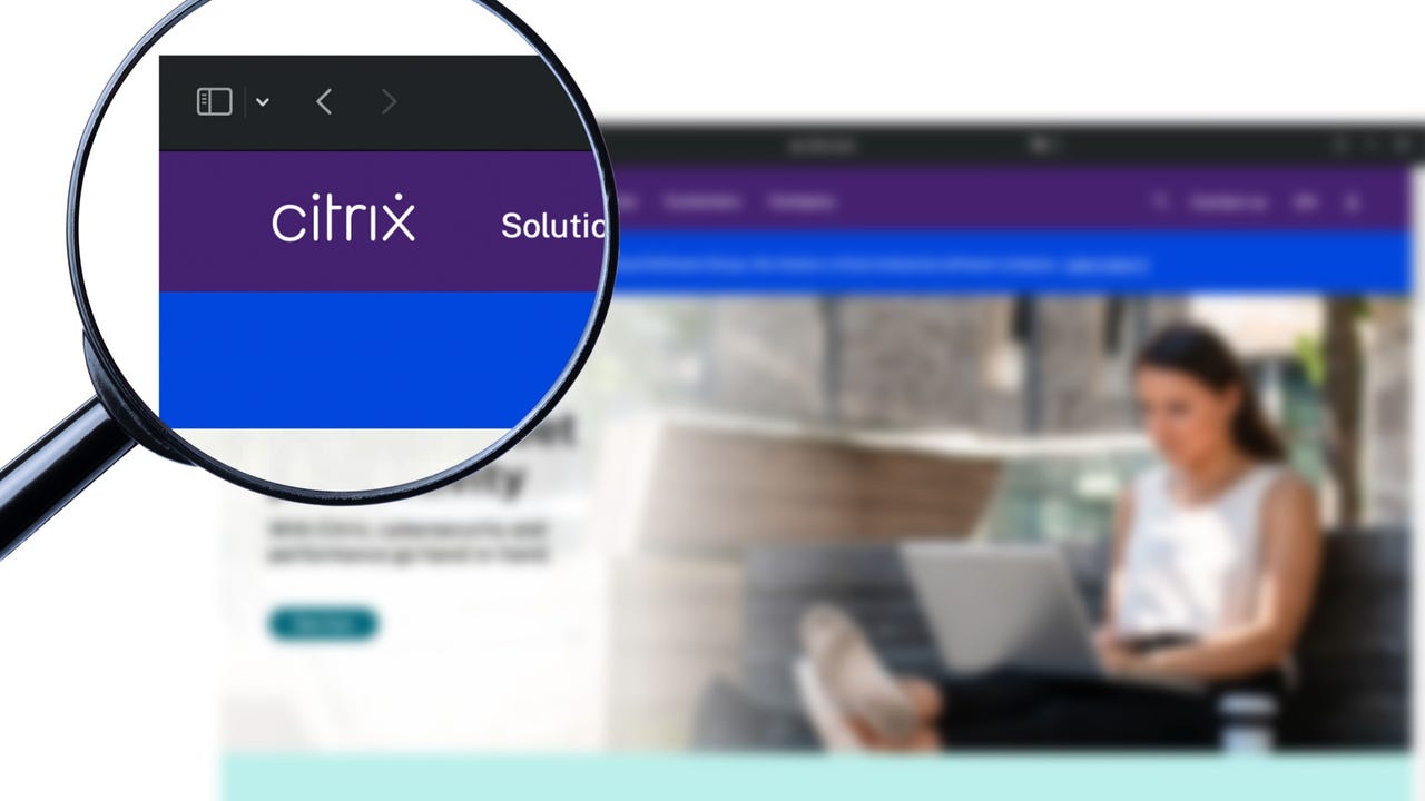 Citrix Aleksandrkozak Shutterstock 3Uqj58