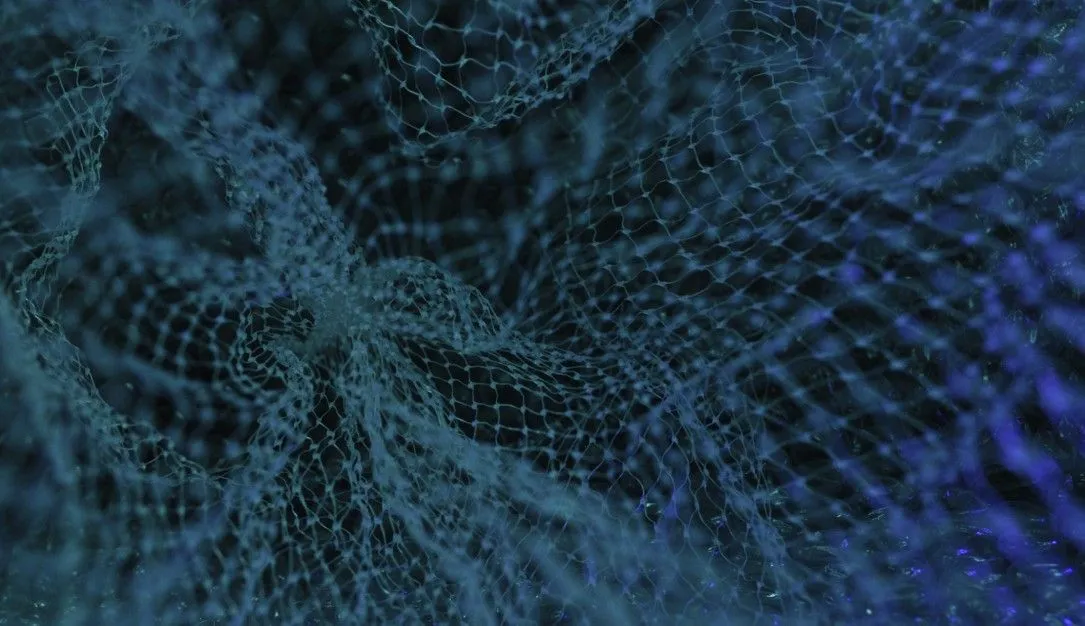 Dark Net Web 8778741081