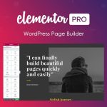 Elementor PRO 3.35.1 WordPress Page Builder