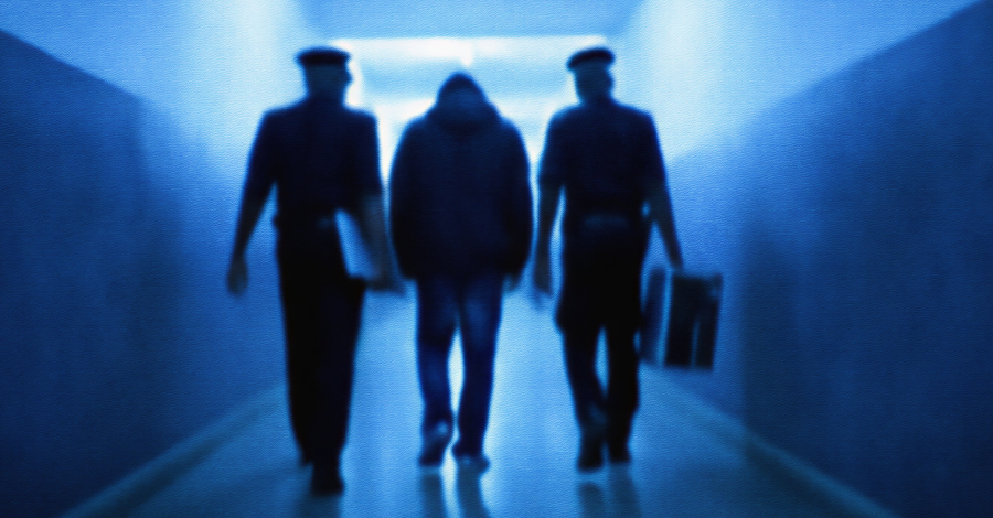 Hacker Arrested