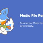 Media File Renamer Pro 6.2.2