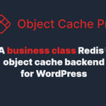 Redis Object Cache Pro 1.25.3