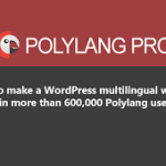 Polylang Pro 3.8.5 + AutoPoly Pro 1.6.1 WordPress Multilingual Plugin