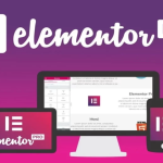 Elementor PRO 4.0.2 WordPress Page Builder