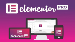 Elementor PRO 4.1.1 WordPress Page Builder