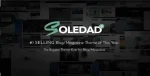 Soledad 8.7.3 – Multipurpose, Newspaper, Blog & WooCommerce WordPress Theme - Image 2